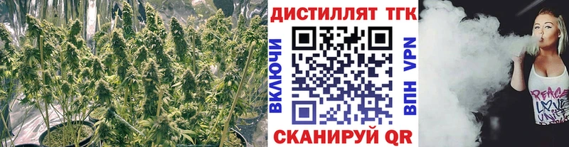 где продают наркотики  Бологое  Дистиллят ТГК Wax 
