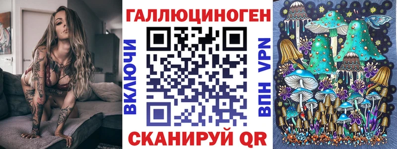 где купить наркоту  Бологое  Псилоцибиновые грибы Magic Shrooms 