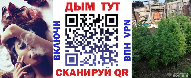 Канабис SATIVA & INDICA  Бологое 